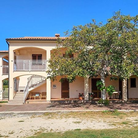Viola Three Leilighet Novigrad Istria Eksteriør bilde